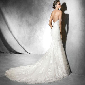 Pronovias Princia Wedding Dress